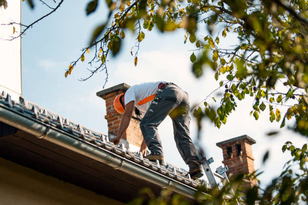 Sealant for Roof in Puget Island, WA
